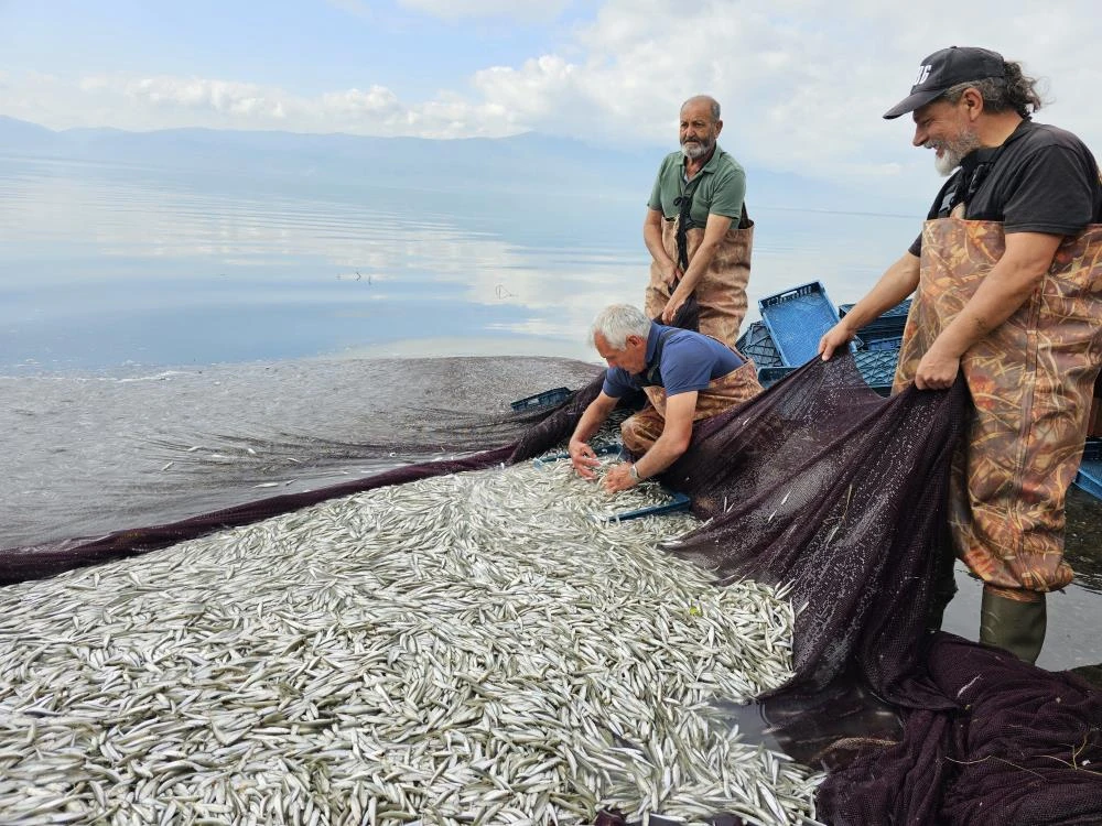 İznik Gölü'nde tutulup Yunanistan, Ukrayna ve Amerika'ya ihraç ediliyor