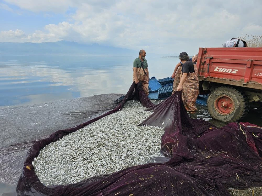 İznik Gölü'nde tutulup Yunanistan, Ukrayna ve Amerika'ya ihraç ediliyor
