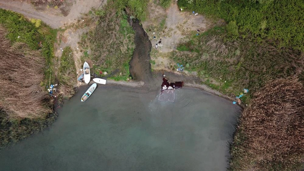 İznik Gölü'nde tutulup Yunanistan, Ukrayna ve Amerika'ya ihraç ediliyor