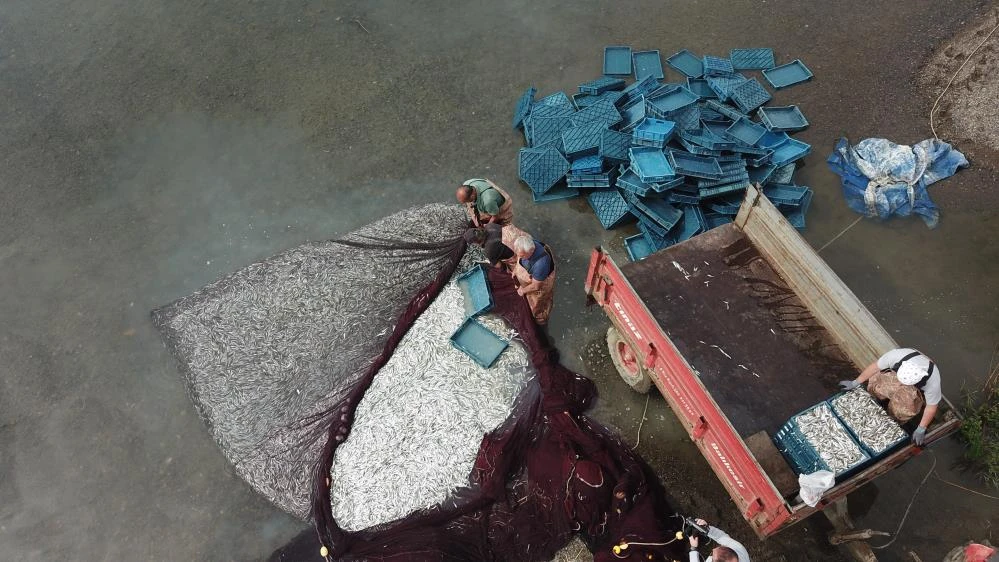 İznik Gölü'nde tutulup Yunanistan, Ukrayna ve Amerika'ya ihraç ediliyor