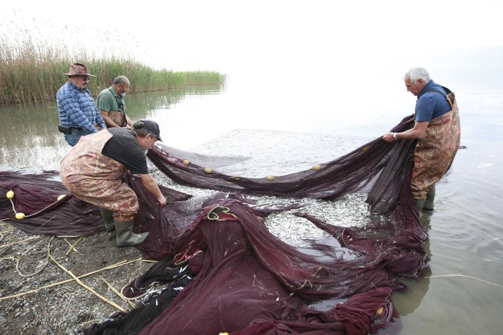 İznik Gölü'nde tutulup Yunanistan, Ukrayna ve Amerika'ya ihraç ediliyor