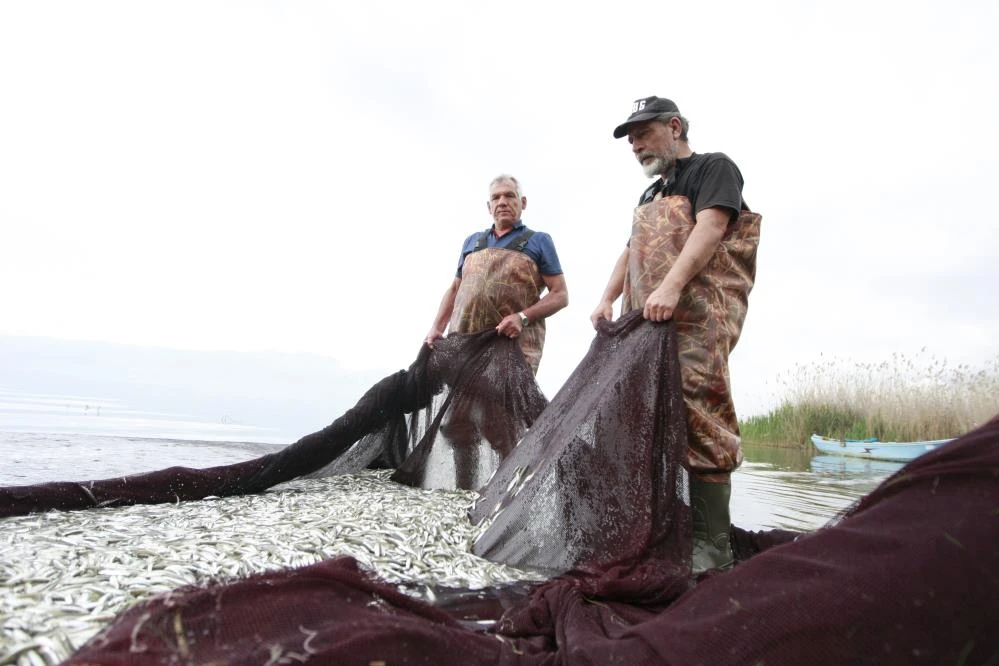 İznik Gölü'nde tutulup Yunanistan, Ukrayna ve Amerika'ya ihraç ediliyor