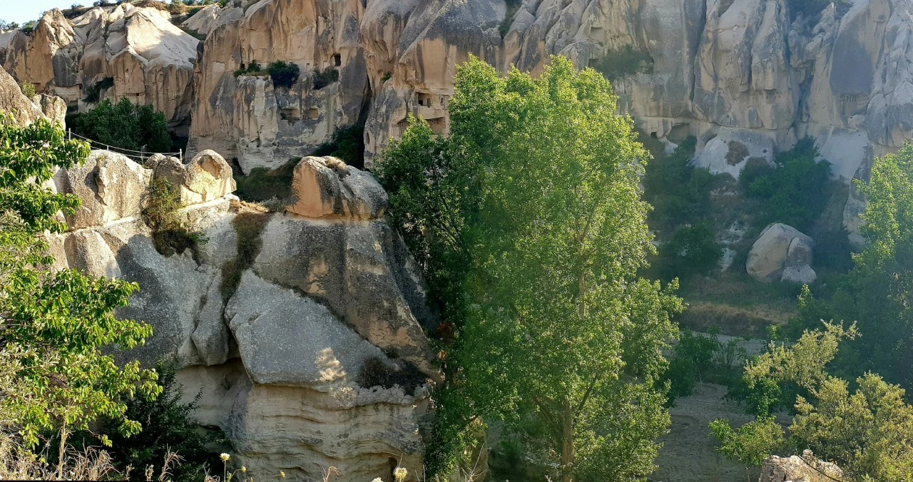 NEVŞEHİR BAŞARMIŞ; BURSA NEDEN BAŞARMASIN?