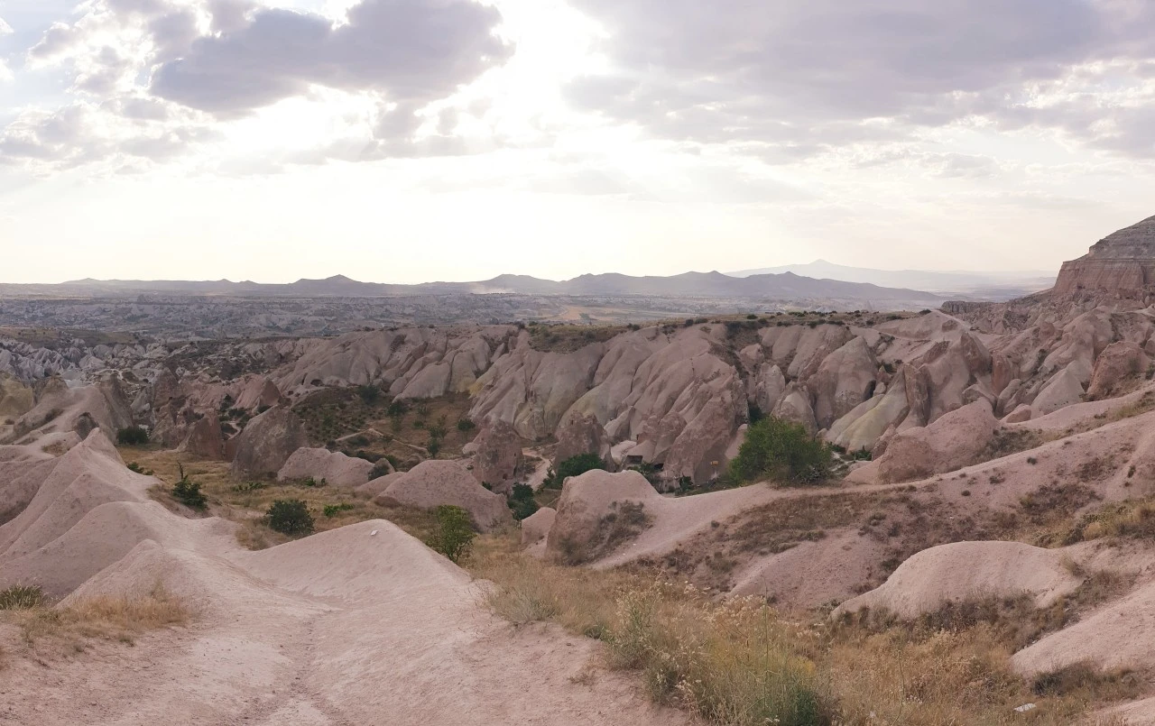NEVŞEHİR BAŞARMIŞ; BURSA NEDEN BAŞARMASIN?