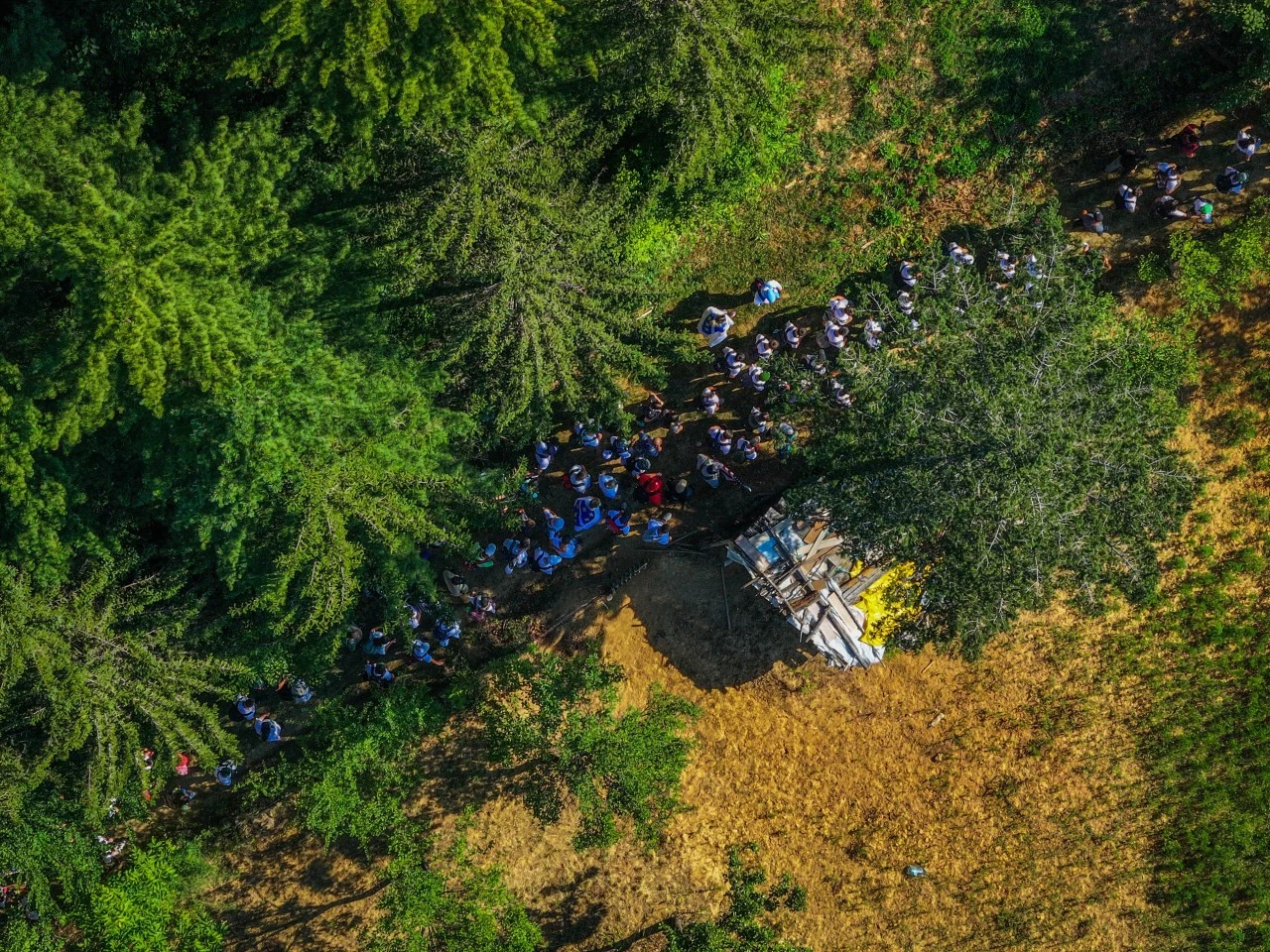 Marş Mira yürüyüşü: 
