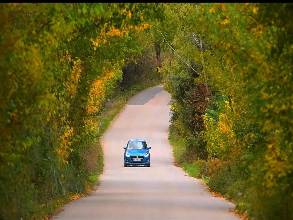 Bursa&rsquo;daki meyve bah&ccedil;eleri, sonbahar renklerine b&uuml;r&uuml;nd&uuml;