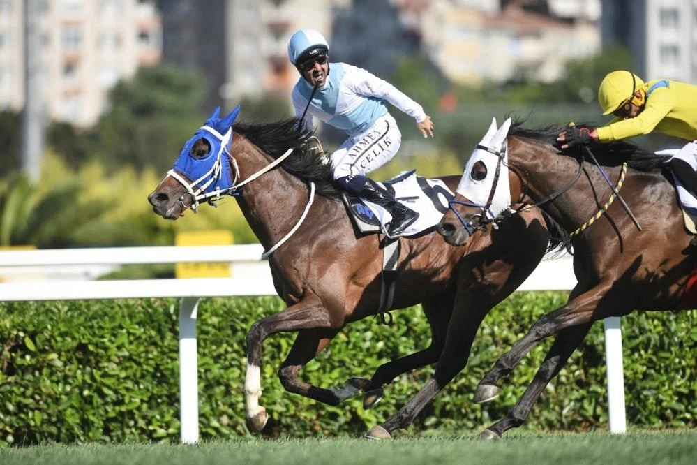 Fotoğraflarla sporda 2025 