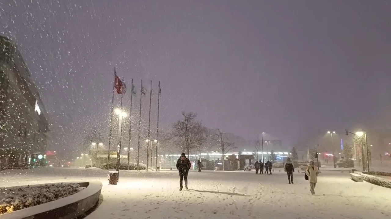 Bursa Beyaza B&uuml;r&uuml;nd&uuml;, S&uuml;r&uuml;c&uuml;ler Yolda Kaldı