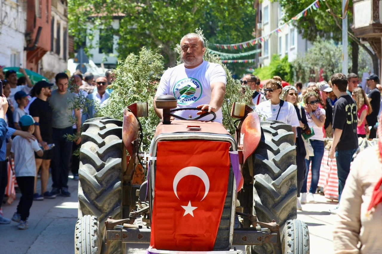 Bursa, Tirilye Zeytin Çiçeği Festvali'nden renkli kareler
