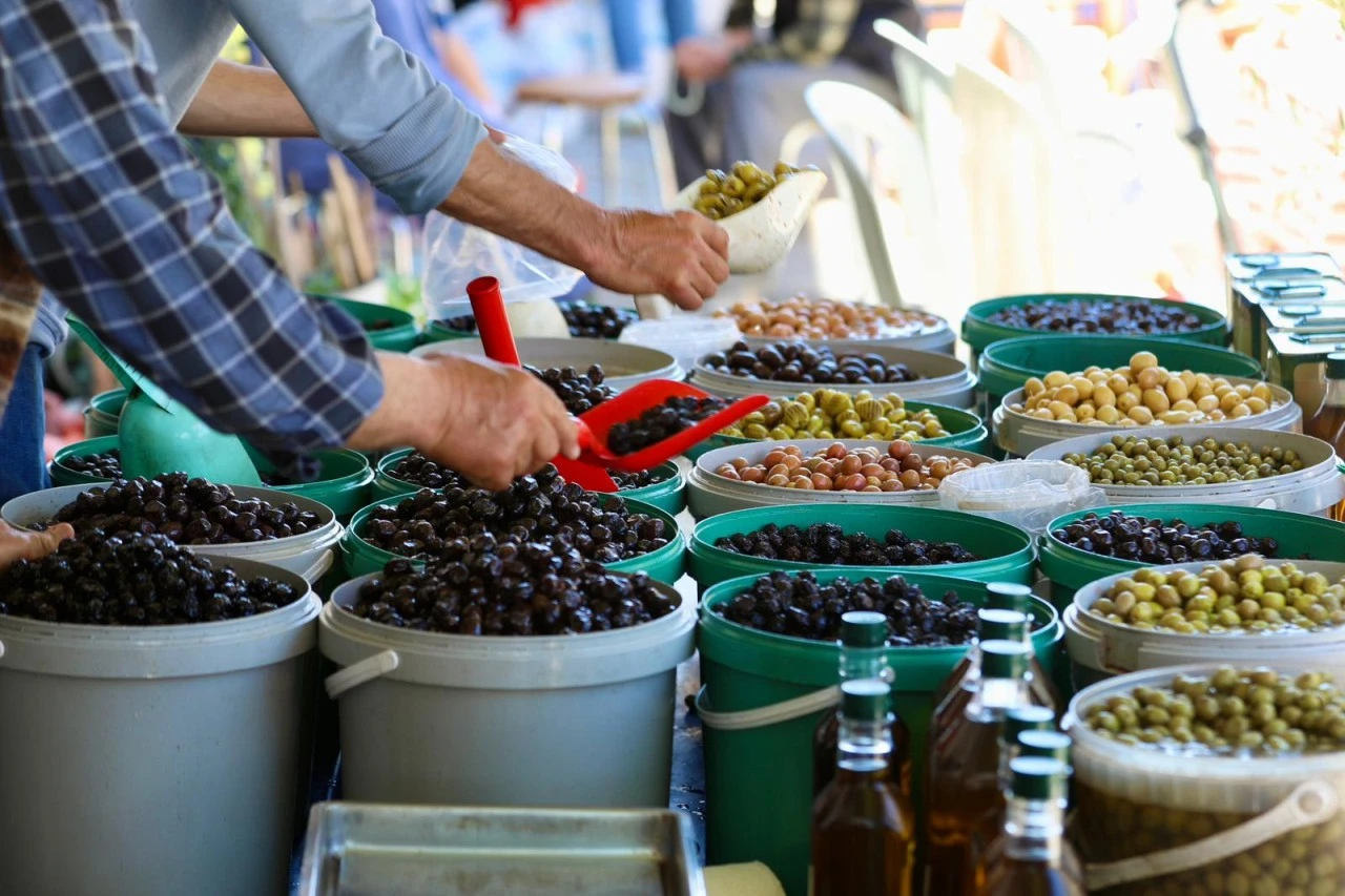 Bursa, Tirilye Zeytin Çiçeği Festvali'nden renkli kareler