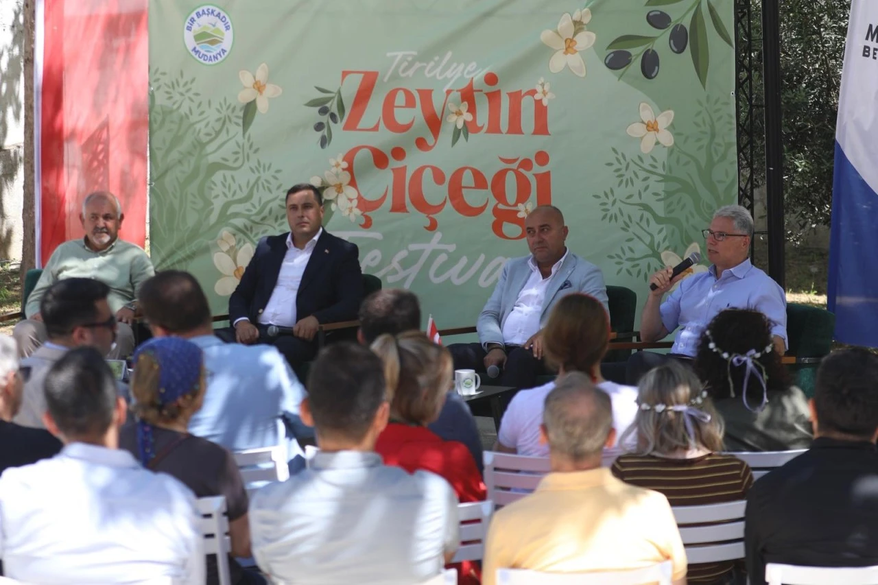 Bursa, Tirilye Zeytin Çiçeği Festvali'nden renkli kareler
