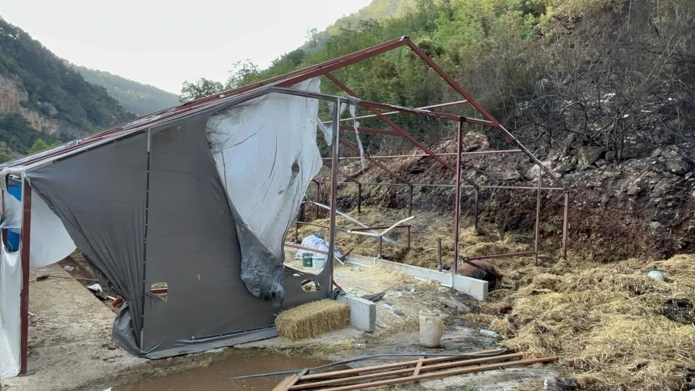  Bursa'da ormana sıçrayan yangın kontrol altına alındı