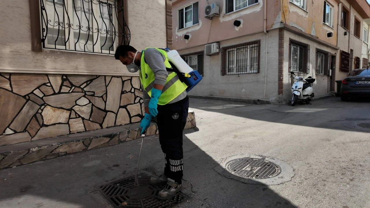 Büyükşehir sinekle mücadeleyi aralıksız sürdürüyor