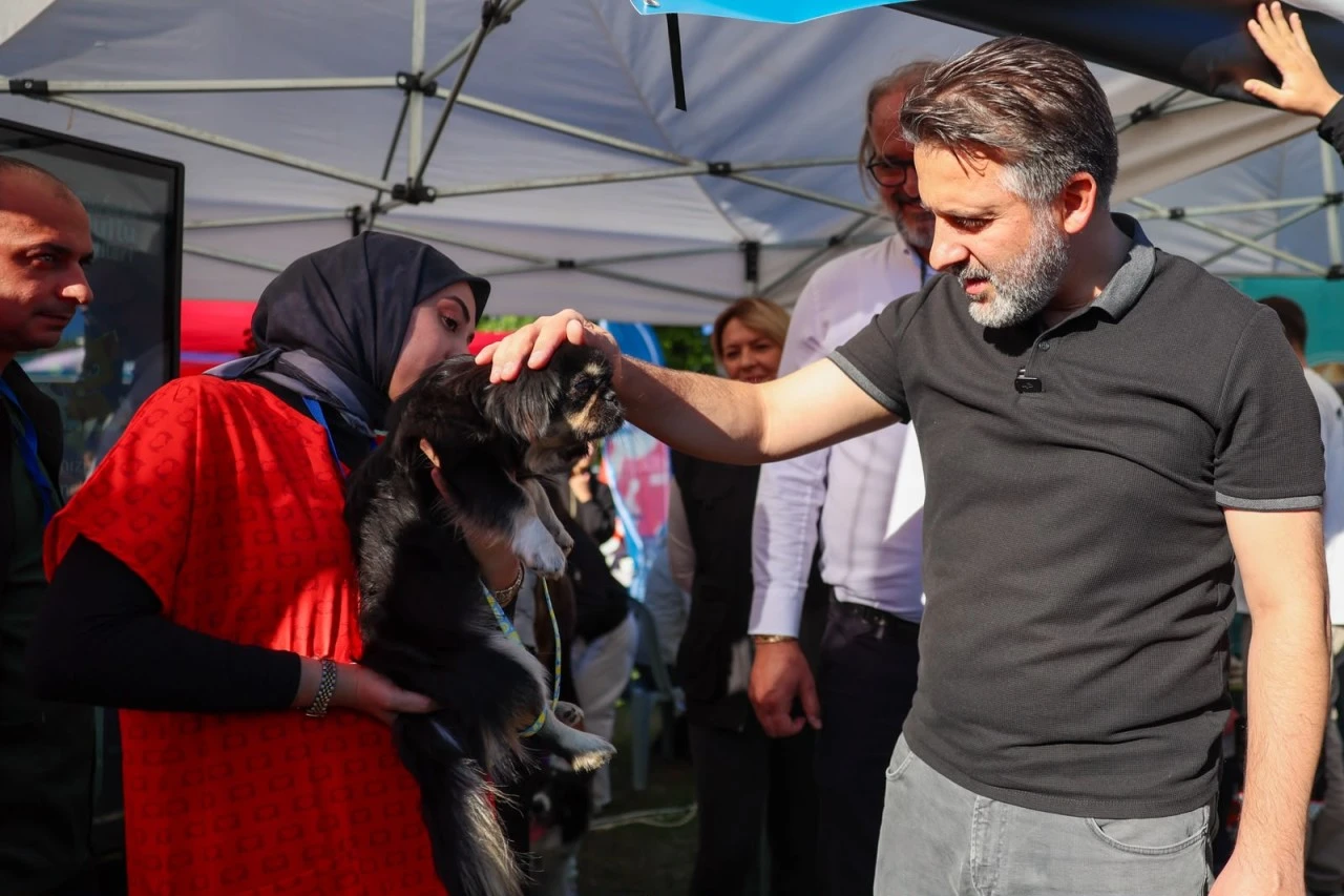 Büyükşehir'den can dostları için yuva seferberliği