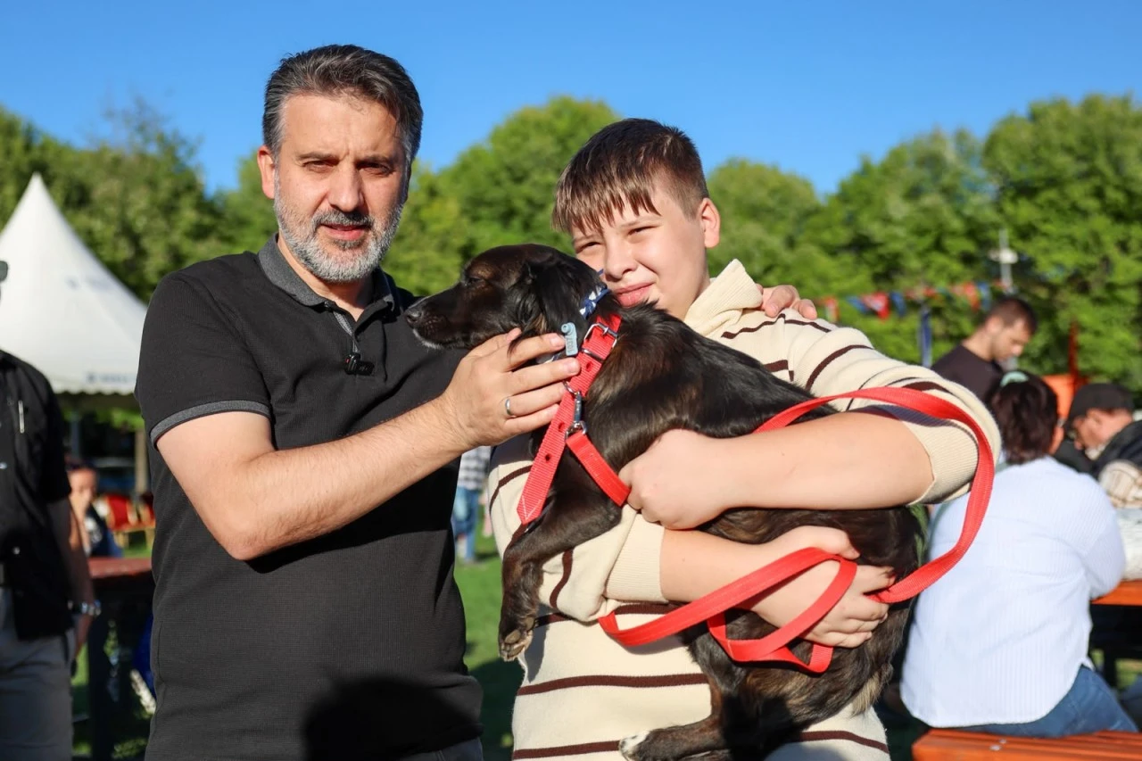 Büyükşehir'den can dostları için yuva seferberliği