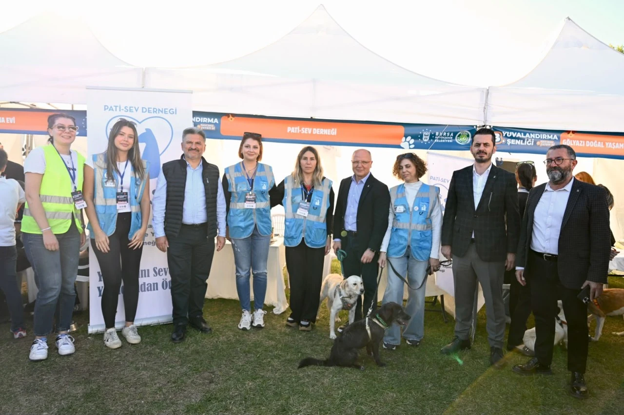 Büyükşehir'den can dostları için yuva seferberliği