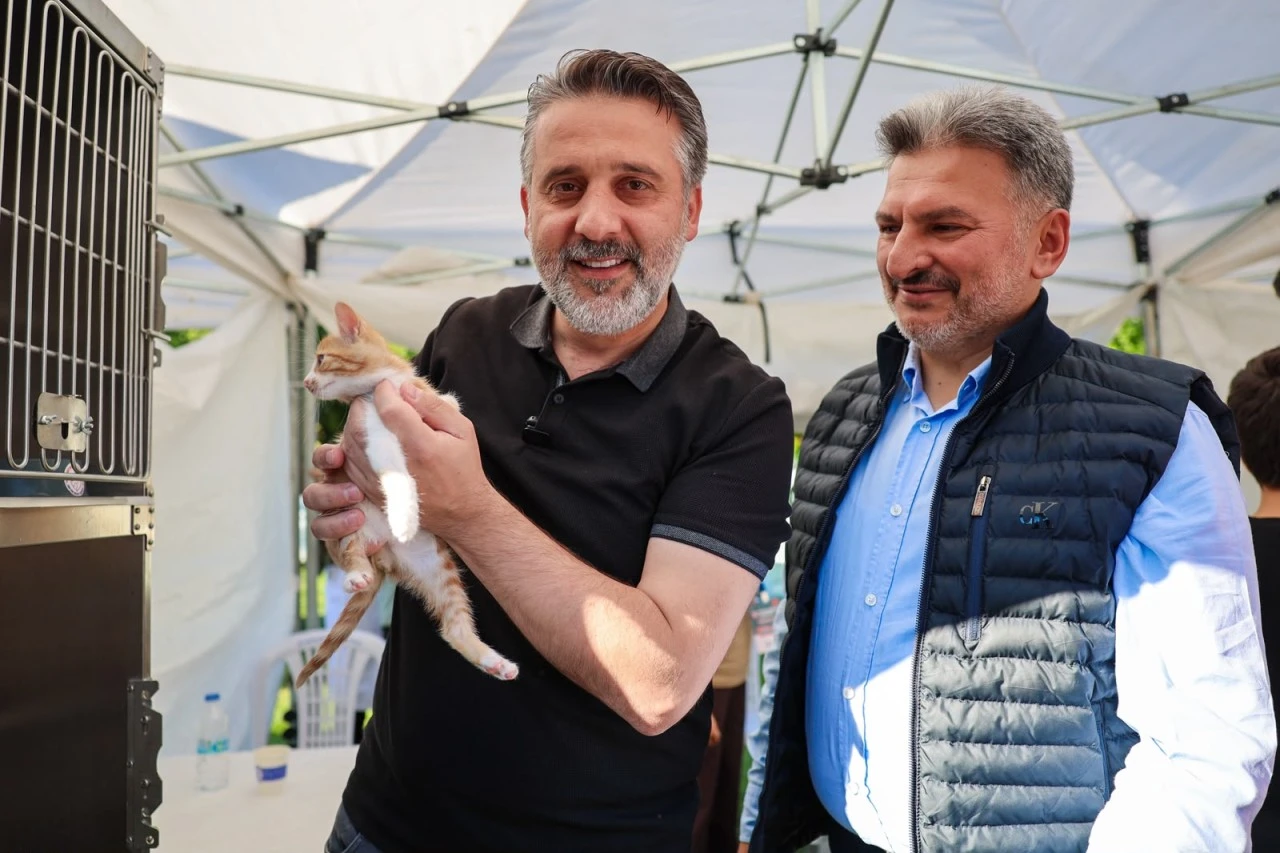 Büyükşehir'den can dostları için yuva seferberliği