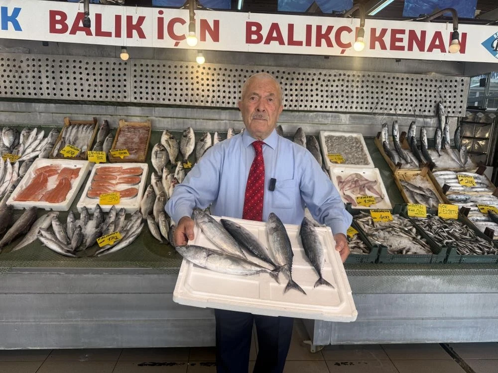 1 Eyl&uuml;l&rsquo;den sonra denizlerde 'Palamut Bolluğu' işareti