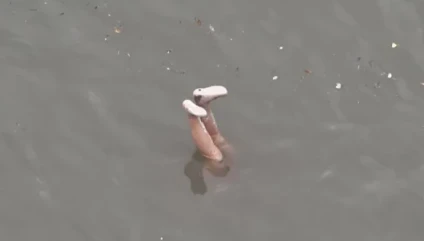 Barajda ceset ihbarı paniğe neden oldu