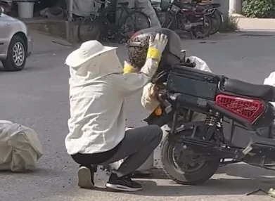Motosiklette toplanan arıları, &ouml;zel kıyafetiyle kovana topladı