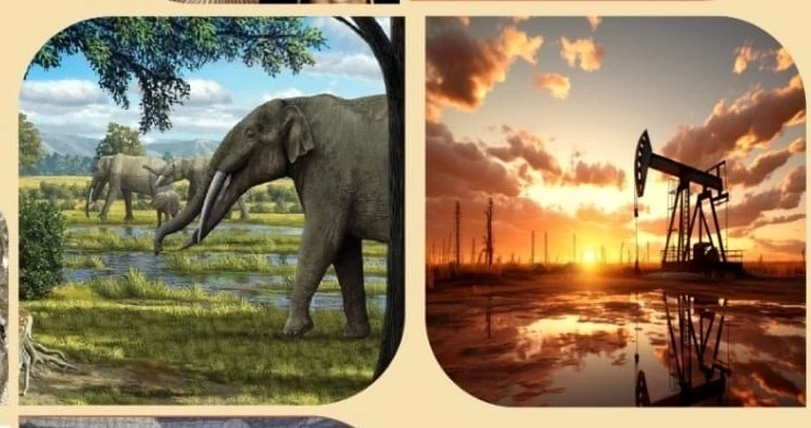 Mustafakemalpaşa 27. Paleontoloji Stratigrafi &Ccedil;alıştayı'na ev sahipliği yapacak