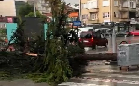 Yenişehir'de sağanak ve dolu etkili oldu