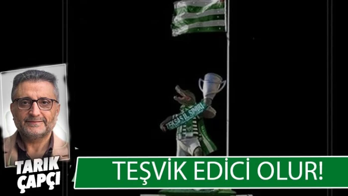 TEŞVİK EDİCİ OLUR!