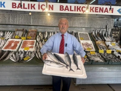 1 Eyl&uuml;l&rsquo;den sonra denizlerde 'Palamut Bolluğu' işareti