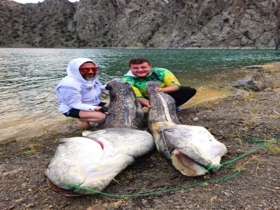 100'er kilo ağırlığında 2 yayın balığı yakaladılar