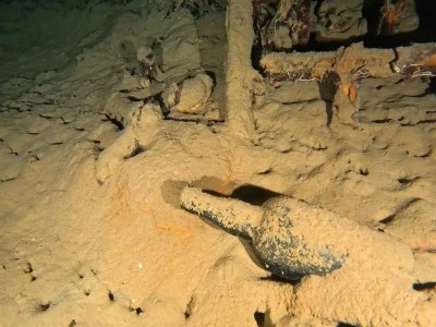 110 yıllık şarap şişesi g&uuml;n y&uuml;z&uuml;ne &ccedil;ıkarıldı