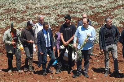 14 Mayıs D&uuml;nya &Ccedil;ift&ccedil;iler G&uuml;n&uuml; sarımsak tarlasında kutlandı
