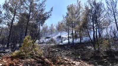 16 ilimizde meydana gelen 44 orman yangınıyla ilgili adli soruşturmalar devam ediyor