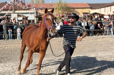 2. &Uuml;rg&uuml;p At Festivali Coşkuyla Tamamlandı