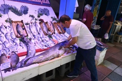 40 kiloluk yayın balığını g&ouml;renler 'Canavar gibi' diyor