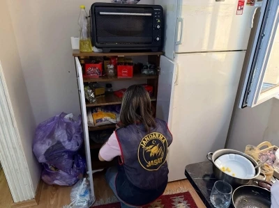 5 ilde nitelikli dolandırıcılık operasyonu: 7 tutuklama