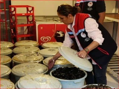 650 kilo bozuk midye ele ge&ccedil;irildi