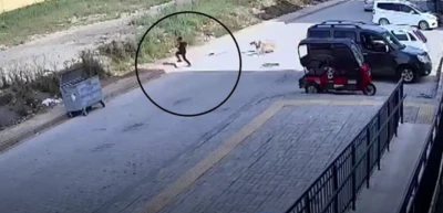 7 yaşındaki &ccedil;ocuk korku dolu anlar yaşadı