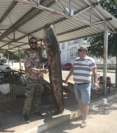 80 kilo ağırlığında yayın balığı yakaladı