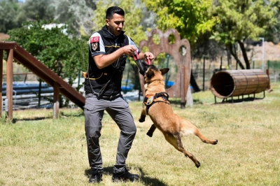 ABB&rsquo;nin K9 Ekipleri Başkent'te G&ouml;rev Başında