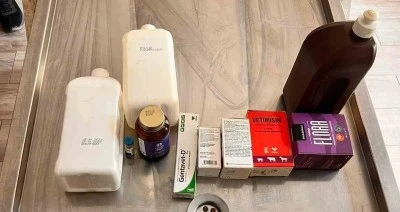 A&ccedil;lıktan birbirini yiyen k&ouml;peklerin bakıldığı barınakta bir&ccedil;ok ilacın tarihinin ge&ccedil;tiği belirlendi