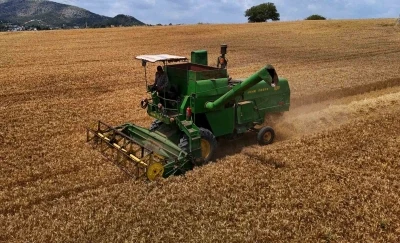 Adana&rsquo;da buğday hasadı başladı
