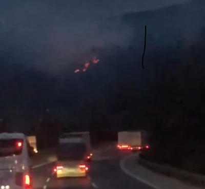 Adana&rsquo;da iki noktada &ccedil;ıkan orman yangınları kontrol altına alındı
