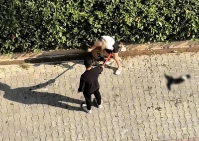 Adana&rsquo;da kediyi par&ccedil;alayan pitbullun sahibine 95 bin lira ceza