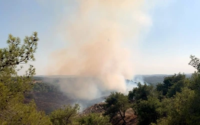 Adana&rsquo;da orman yangını