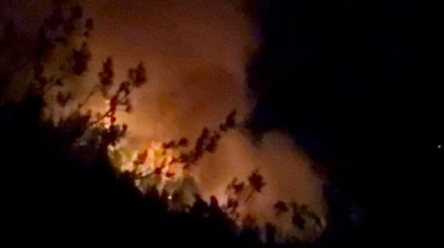 Adana ve Osmaniye&rsquo;de 14 farklı noktada orman yangını &ccedil;ıktı, 13&rsquo;&uuml; kontrol altında