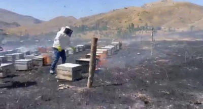 Adıyaman&rsquo;da otluk alan yangını 200 arı kovanını k&uuml;l etti