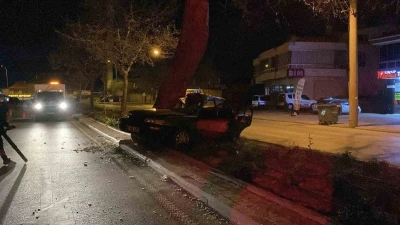 Ağaca &ccedil;arpan otomobilin s&uuml;r&uuml;c&uuml;s&uuml; hayatını kaybetti
