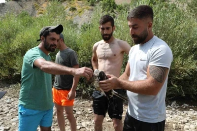 Ağaca &ccedil;arpıp suya d&uuml;şen kızıl şahin kurtarıldı