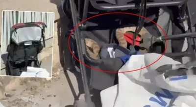 Ağa&ccedil;tan bebek arabasına yılan d&uuml;şt&uuml;