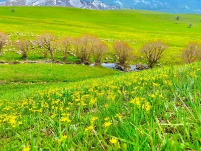 Ağrı&rsquo;da doğanın renk c&uuml;mb&uuml;ş&uuml; g&ouml;z kamaştırıyor
